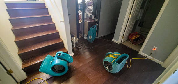 Best Water damage restoration insurance claims  in Lanster, CA