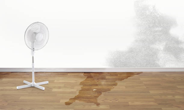 Best Carpet water damage restoration  in Lanster, CA