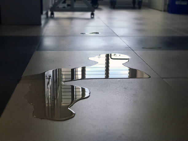 Best Commercial water damage restoration  in Lanster, CA